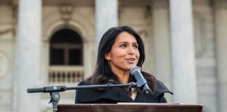 Tulsi Gabbard