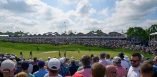 Crowd watching a golf tournament on a sunny day.