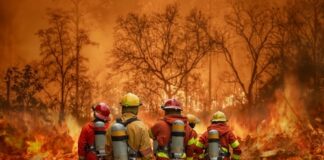Firefighters battling a forest fire.