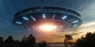Large UFO hovering above a forest at dusk.