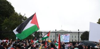 Crowd protesting with Palestinian flags outside a white building.