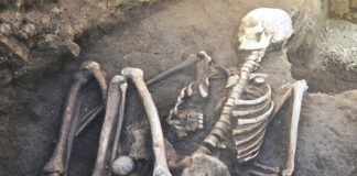 Human skeleton partially buried in the ground.