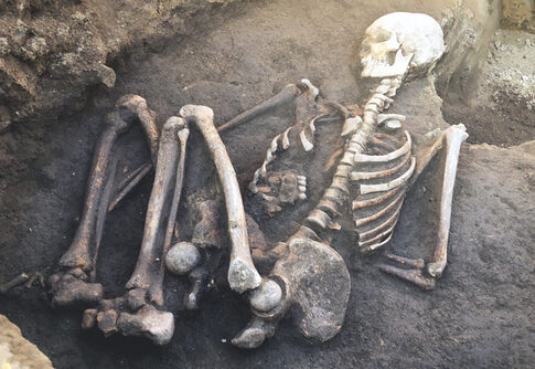 Human skeleton partially buried in the ground.