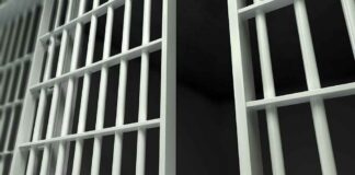 Close-up view of prison cell bars.
