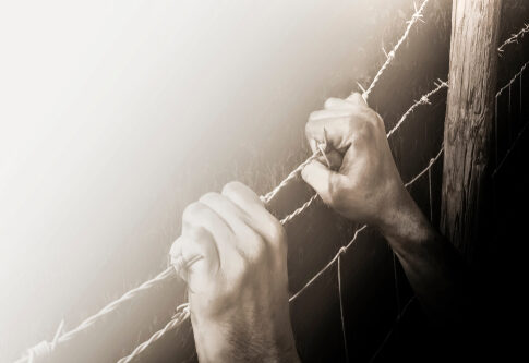 Hands gripping barbed wire fence.
