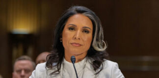 Tulsi Gabbard, National Intelligence Director