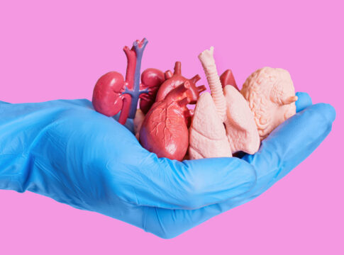 Blue glove holding miniature human organs pink background
