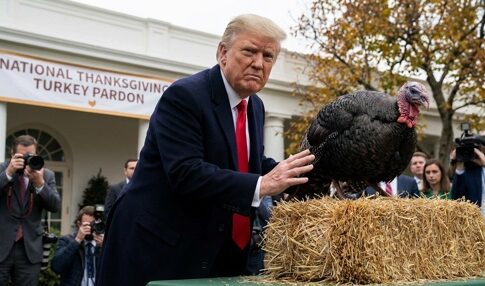 A man in a suit interacting with a turkey during a Thanksgiving pardon ceremony